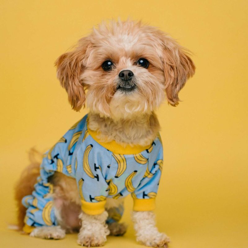 Công Ty Cổ Phần Thương Mại Dịch Vụ Cửu Long Thanh