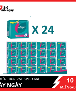 Nguyên thùng Whisper Cánh dày ngày 24x10 miếng