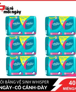 COMBO 6 gói Whisper Cánh dày ngày 40 miếng