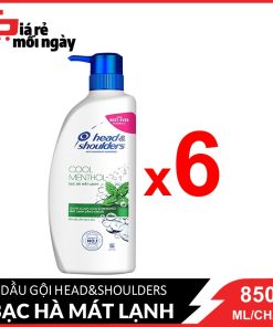 [Giá sỉ] Nguyên thùng Dầu gội Head&Shoulders Bạc hà 850mlx6
